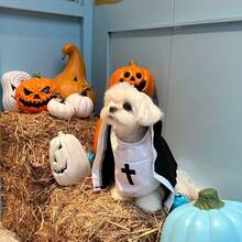 1pc Pet Halloween Costume Hoodie, Funny Cosplay Photography Prop For British Shorthair, Teddy, Poodle, Puppy, Kitten, Gothic Style, Suitable For Spring, Autumn, Winter