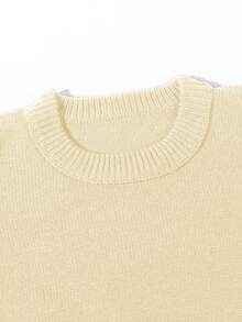 Autumn/Winter Unisex Street Style Minimalist Long Sleeve Crew Neck Pullover Sweater With Fringe & Distressed Details, Loose & Comfortable - Apricot - View 4