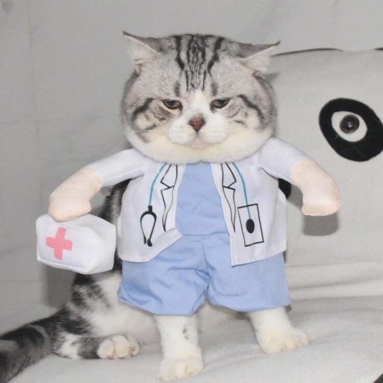 Costume de policier pour chien et chat, tenue amusante pour animaux de compagnie, accessoires - Bleu marine - Voir 9