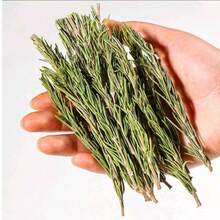 1 Pack 500g Dried Rosemary Branches, Short Stems Plant Decor - Suitable For Home Indoor Decoration, Floral Arrangement, DIY Craft Making, Restaurant Plate Decor, Fresh Fragrant And Purifying - Rosemary - View 4