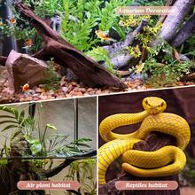 1 buc. Lemn plutitor mare, 25-30 cm, decor natural din lemn plutitor, coral, acvariu Aquascape, lemn plutitor - habitat realist pentru reptile și amfibieni cu ramuri cățărătoare, platformă pentru cuibărirea țestoaselor, decor pentru acvariu cu apă dulce sau sărată, aspect natural, lemn durabil, livrare aleatorie de decor pentru acvariu sud-american, rădăcini de bonsai, coarne de cerb, ramuri uscate de copac