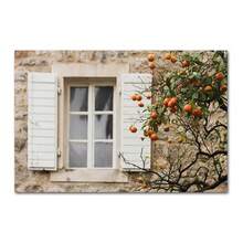 La Dolce Vita Lemon Orange Harvest Poster Prints Home Town Garden Plants Canvas Painting Car Picture Wall Art Interior Decor - Multicolor - View 37