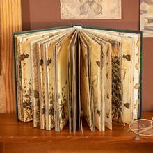 Album cu 192 de pagini/carte, seria Century Ode, carte creativă vintage maro, cu folie aurie, pentru scriere, accesorii pentru caiete, caiet decorativ DIY, colaj personalizat, poate fi folosit ca și cadouri sau premii pentru studenți - Multicolor - Vizualizare 4