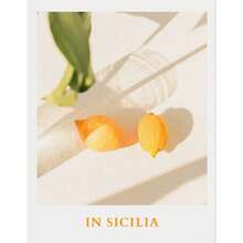 La Dolce Vita Lemon Orange Harvest Poster Prints Home Town Garden Plants Canvas Painting Car Picture Wall Art Interior Decor - Multicolor - View 13