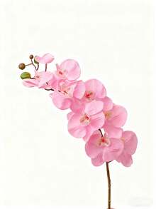 1 pieza Flor de orquídea Phalaenopsis artificial, decoración versátil para bodas, fondo de novia, ramos, corsajes, arcos, fiestas, regalos, centros de mesa de restaurante