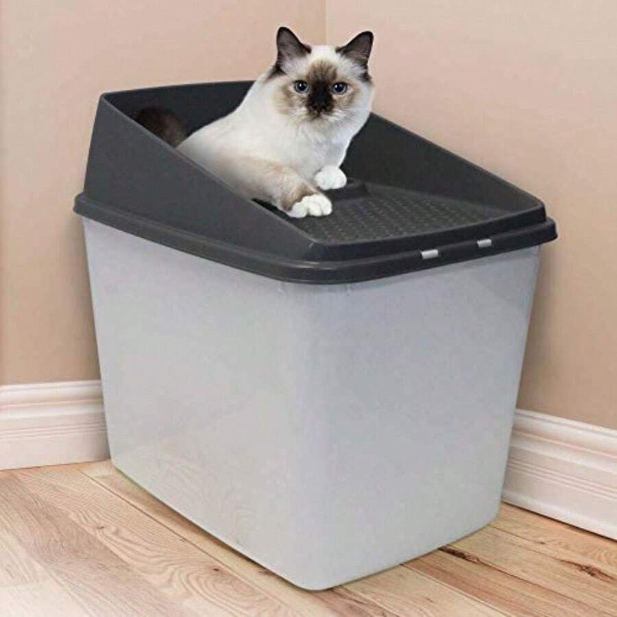Curated visual reference: Fresh Look at Paws And Claws No Mess Cat Litter Box 40 X