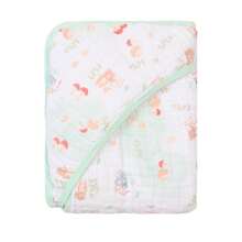 Daddy - 森林 - 查看 6