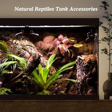 1 buc. Lemn plutitor mare, 25-30 cm, decor natural din lemn plutitor, coral, acvariu Aquascape, lemn plutitor - habitat realist pentru reptile și amfibieni cu ramuri cățărătoare, platformă pentru cuibărirea țestoaselor, decor pentru acvariu cu apă dulce sau sărată, aspect natural, lemn durabil, livrare aleatorie de decor pentru acvariu sud-american, rădăcini de bonsai, coarne de cerb, ramuri uscate de copac