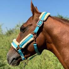 TGW RIDING High Quality Mane Tamer, Smooth Memory Fabric Abrasion-Resistant Outer Layer, Detachable Anti-Rub Fur Trim On Nose Bridge, Cheeks, And Nape, Quick Release Buckles, Available In Small, Medium, And Large Sizes - Multicolor - View 5