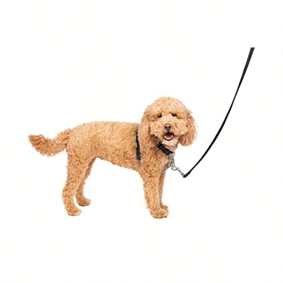 PetSafe 3 In 1 Dog No Pull Harness And Car Restraint Small Black - Black - View 1