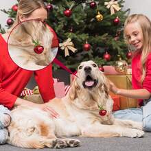 5 Stück Weihnachtsglocken Halskette, Weihnachtsdekoration Glocken mit verbindenden Bändern, Weihnachtsartikel, geeignet für Weihnachtsbastelgeschenke, Weihnachtsgeschenk Raumdekoration