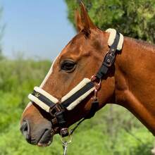 TGW RIDING High Quality Mane Tamer, Smooth Memory Fabric Abrasion-Resistant Outer Layer, Detachable Anti-Rub Fur Trim On Nose Bridge, Cheeks, And Nape, Quick Release Buckles, Available In Small, Medium, And Large Sizes - Multicolor - View 3