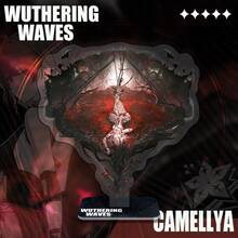 1pc Wuthering Waves Acrylic Standee - Wanderer Phoebe Colette Anime Game Figurine Desk Decor, Stitch Toys, Travel Toys, Classroom Fidget Toys, Mini Bath Toys, Christmas Stationery, Stress Ball, Birthday/Christmas/Holiday Gift