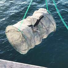 Fishing Bait Trap, 2 Packs Crab Trap Minnow Trap Crawfish Trap Lobster Shrimp Collapsible Cast Net Fishing Portable Folded Fishing Accessories, 12.6X20.1inches - Grey - View 7