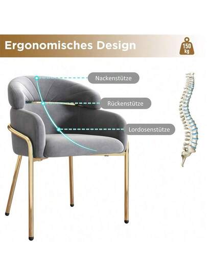 Dining Chairs view 4