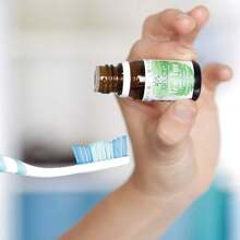 ¡RecomendadoÁrbora Aceite Esencial de Tea Tree AUSTRALIANO 100% puro| ¡Más de 10 USOS de bienestar y belleza!| Reconforta tu piel y cabello| Ingredientes certificados| Aceite de 1° destilación| 11ml¡Top de Temporada - Arbol de Té - Ver 6