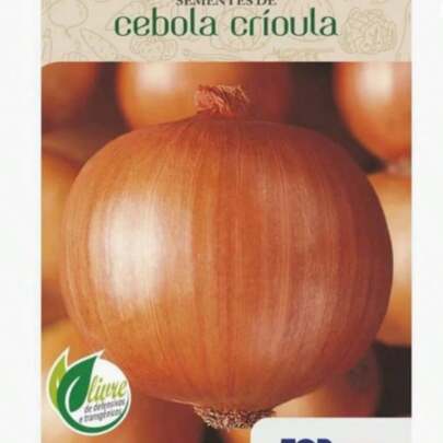 Envelope De Sementes Cebola Crioula 5g