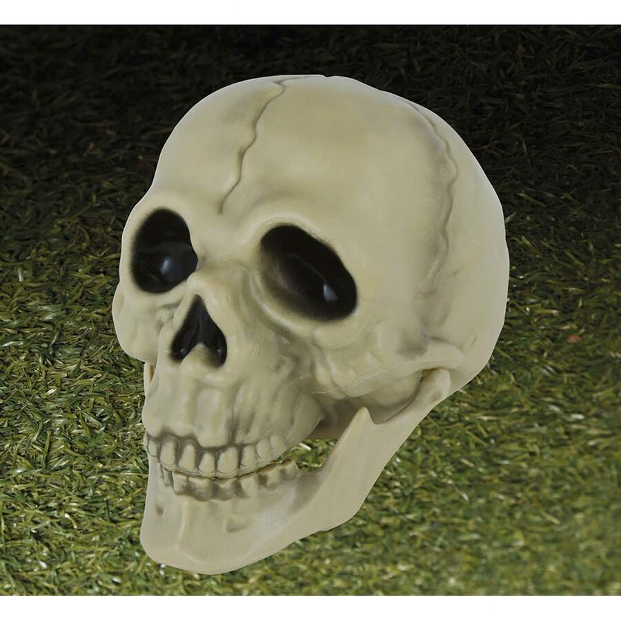 Fiestas Guirca Teschio decorativo in PVC per feste e temi di Halloween, scultura di teschio alta 13 cm con dettagli realistici e design spettrale, perfetta per decorazioni di costumi, bricolage e atmosfere inquietanti - Multicolore - Visualizzare 1