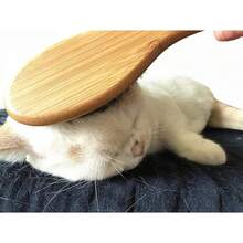 Dog Cat Brush For Shedding, Natural Bamboo Boar Bristles Brush, Pet Grooming Supplies For Short And Long Haired Pets, Gentle Easy Grooming Massage, Japanese-Inspired Design - Default - View 5