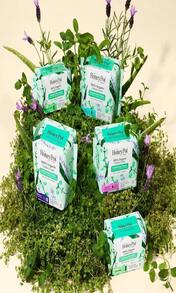 The Honey Pot Company - Herbal Pads For Women - Overnight W_Wings - Infused W_Essential Oils For Cooling Effect &Amp; Organic Cotton Cover - Feminine Care - 12 Ct - ColorA - 查看 9