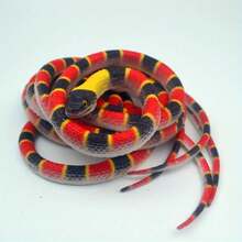Realistic Soft Rubber Snake Prank Toy - Python, King Snake, Design, Suitable Indoor/Outdoor Decoration - A1 - View 7