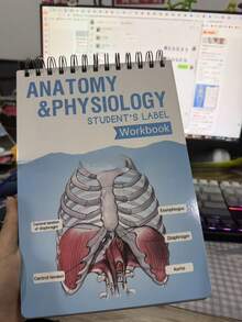 1-Pack Anatomy Label Lab Workbook - 100+ Full-Color Dry-Erase Pages With Interactive Human Body Diagrams & Medical Terminology - Color-Coded Organs & Systems Study Tool For Medical Students, Biology Classes & Study Groups - NCLEX Prep Essential, Nursing School Gift, Physician Assistant Resource, USMLE Study , Anatomy Coloring Book Alternative