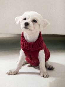 1 pieza Suéter con estampado de panda para mascotas, jersey de cuello alto tejido cálido para perros y gatos pequeños, Teddy, Poodle, Pomerania, Schnauzer, cachorros y gatitos, para todas las estaciones