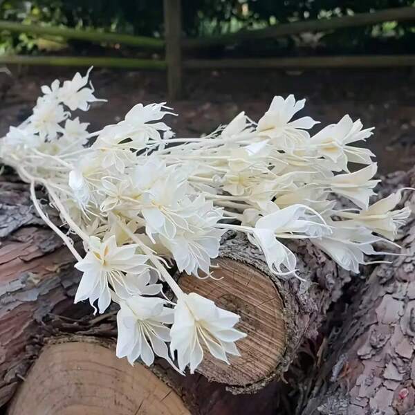 黑白干花，天然八角形花，花瓶填充物，插花用干花，DIY手工材料，家居装饰，婚礼装饰