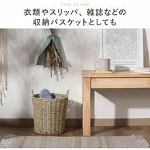 Flower Pots & Planters