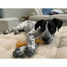 Nylabone FlexiChew Chicken Bone Chew Toy On Card Souper