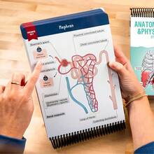 1-Pack Anatomy Label Lab Workbook - 100+ Full-Color Dry-Erase Pages With Interactive Human Body Diagrams & Medical Terminology - Color-Coded Organs & Systems Study Tool For Medical Students, Biology Classes & Study Groups - NCLEX Prep Essential, Nursing School Gift, Physician Assistant Resource, USMLE Study , Anatomy Coloring Book Alternative
