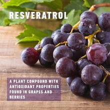 XEMENRY Complejo de resveratrol antioxidante, fórmula antienvejecimiento, 120 unidades, 70% polifenoles, mejora apariencia de piel radiante y saludable, suplemento nutricional, apoya bienestar celular, ideal para adultos, fácil de tomar - 120 cápsulas - Ver 3