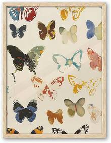 OAK Framed Colorful Butterfly