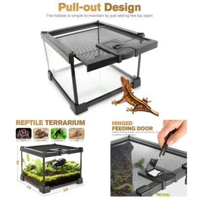 Reptile Glass Terrarium Vivarium 8''x 8''x 6'' Full View Small Amphibians Glass Habitat Cage With Feeding Slot Box Lock