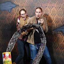 Prank Toy Potato Chips Surprise Snake Bucket - Real Potato Chips Can Snake-Shaped Design - Prank, Novelty Party Decoration, Birthday Surprise, Valentine's Day And Other Joke Gifts, Scaring And Pranking, Halloween Fool's Day Party Magic Joke Gadgets Fun Prank Funny Friend Toy - Sweet Potato Chips Jumping Snake - View 11