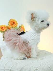 1pc Pet Clothes, Dog/Cat Apparel For Poodle, Teddy, Small Dogs & Puppies, Casual & Fashionable Cute Comfortable Anna Tutu Skirt - Multicolor - View 2