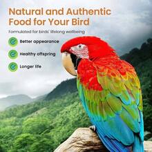 High Potency Coarse 5Lb - Complete Parrot Diet - Initial - View 4
