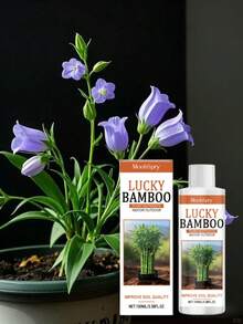 植物营养素室内绿植改善根系液滴灌温和滋养日常护理专门设计用于有效提高植物产量和品质，为作物生长提供关键支持，帮助提升种植效果，还可以作用于土壤改善其质量，为作物提供良好的基础。 - 彩色 - 查看 5