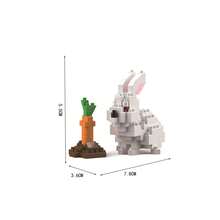 1 Peça Modelo Nanoblock DIY feito à mão, Série Animal Engraçada Ovelha/Zebra/Girafa/Urso Polar, Blocos de Construção Adultos, Presente Colecionável, Presente de Ano Novo/Aniversário