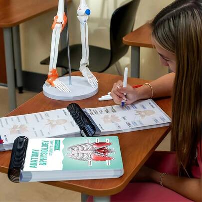 1-Pack Anatomy Label Lab Workbook - 100+ Full-Color Dry-Erase Pages With Interactive Human Body Diagrams & Medical Terminology - Color-Coded Organs & Systems Study Tool For Medical Students, Biology Classes & Study Groups - NCLEX Prep Essential, Nursing School Gift, Physician Assistant Resource, USMLE Study , Anatomy Coloring Book Alternative