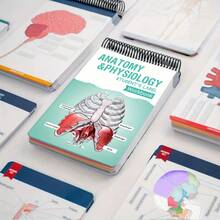 1-Pack Anatomy Label Lab Workbook - 100+ Full-Color Dry-Erase Pages With Interactive Human Body Diagrams & Medical Terminology - Color-Coded Organs & Systems Study Tool For Medical Students, Biology Classes & Study Groups - NCLEX Prep Essential, Nursing School Gift, Physician Assistant Resource, USMLE Study , Anatomy Coloring Book Alternative