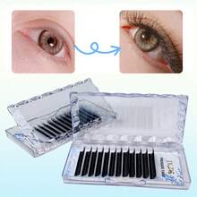 SF-Sechsblättrige Kleeblatt Künstliche Wimpern Kleine Box 12 Reihen, einfach aufzunehmen ohne zu verstreuen, zeitsparend und arbeitssparend, Qualität