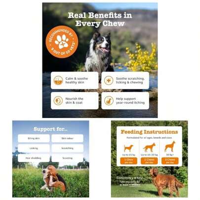 Anti - Itch Chews Dogs Soothes Itchy - Feeling Skin, And Ears, Licking Scratching Anti Itch Dogs Daily Supplement All Breeds 90 Soft Chews