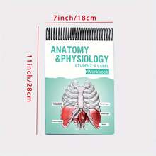 1-Pack Anatomy Label Lab Workbook - 100+ Full-Color Dry-Erase Pages With Interactive Human Body Diagrams & Medical Terminology - Color-Coded Organs & Systems Study Tool For Medical Students, Biology Classes & Study Groups - NCLEX Prep Essential, Nursing School Gift, Physician Assistant Resource, USMLE Study , Anatomy Coloring Book Alternative