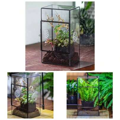 Glass Enclosure With Side Door And Three Vent Holes Large Jumping Spider - 13x10x23 - Rectangle Black Small Insects Terrarium - Vent Holes Diameter 3m