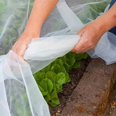 Premium Garden Netting - 78.74inch X 196.85inch Fine Mesh Cover For Insect & Bird Protection, Ideal For Vegetables, Fruits & Plants, Bird Netting | Insectproof Netting | Durable Garden Net