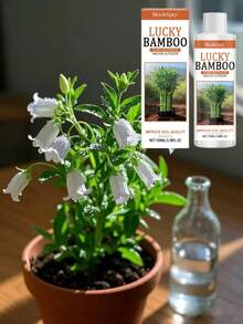 植物营养素室内绿植改善根系液滴灌温和滋养日常护理专门设计用于有效提高植物产量和品质，为作物生长提供关键支持，帮助提升种植效果，还可以作用于土壤改善其质量，为作物提供良好的基础。 - 彩色 - 查看 3