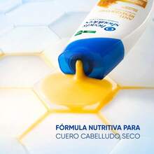 Shampoo & Shoulders Anti-Resequedad para Cabello Dañado, con Miel y Aceites Esenciales, 375 ml - Nutrición Diaria para Adultos - Multicolor - Ver 4