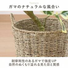 Flower Pots & Planters