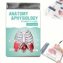 1-Pack Anatomy Label Lab Workbook - 100+ Full-Color Dry-Erase Pages With Interactive Human Body Diagrams & Medical Terminology - Color-Coded Organs & Systems Study Tool For Medical Students, Biology Classes & Study Groups - NCLEX Prep Essential, Nursing School Gift, Physician Assistant Resource, USMLE Study , Anatomy Coloring Book Alternative
